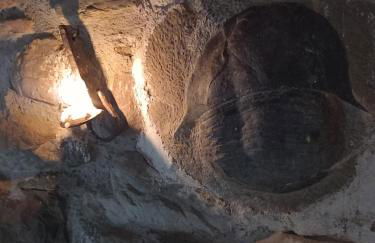 La Cannicciaia - Foto 30