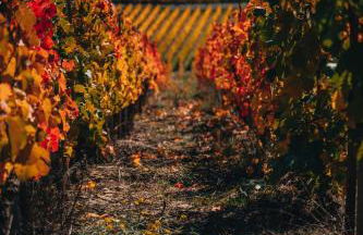 3-Zimmer Haus 85qm mit Balkon bis zu 8 Personen - Foto 20