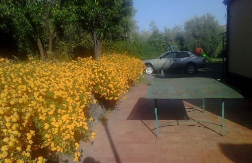 Biologico Dell'Etna - Foto 15