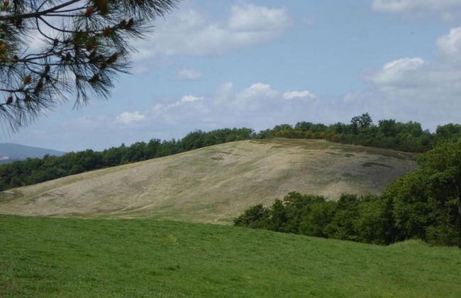 Rustic Escape With Pool - Foto 38