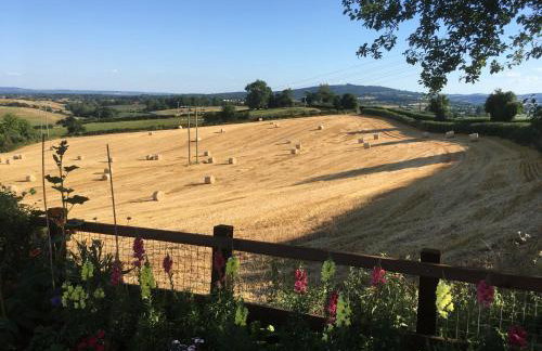 Betula Views - Photo 17