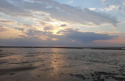 Hausnordlicht FEWO 1 - Foto 19