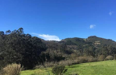 Acogedora Casa en Asturias - Foto 7