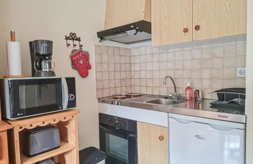 Y Hôtes- Ambiance Montagne T2 Station Hirmentaz - Foto 7