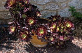 Appartement T1 climatisé en campagne - Foto 24