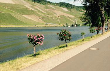 Ferienwohnung Mosel - Foto 16