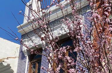 Artisan Haven: El Cabanyal Oasis - Foto 1