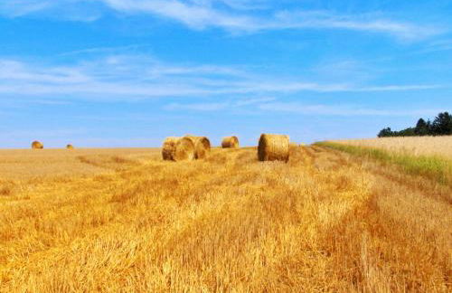 Casa Dante - Foto 33