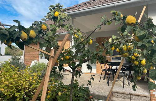 Haus am Reithagen - Foto 26