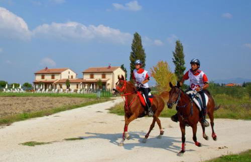 Villa in Cannara With Pool Near Assisi - Foto 68