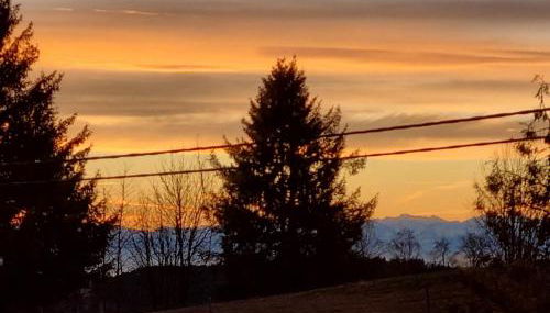 Landhaus Black Forest - Foto 2, Garden view