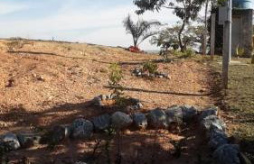 Sítio Santa Terezinha Canastra - Foto 71