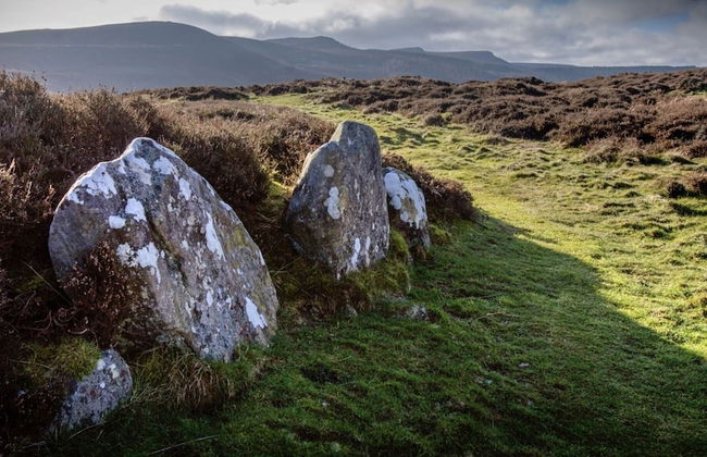 The Orchard House - Foto 45