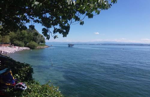 Villa Leni im Schwarzwald - Foto 26