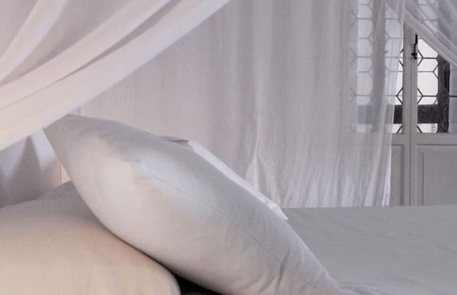 Palazzo Soderini - Photo 14