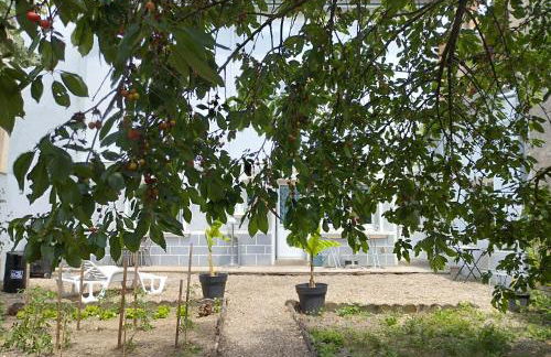 Maison Chez Marinette - Photo 9