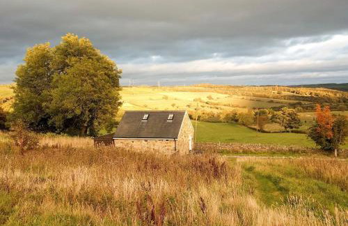 Chestnut Cottage - Foto 12