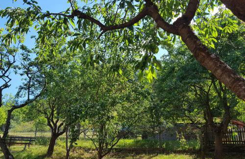 Charmantes Ferienhaus mit Naturgarten - Foto 40