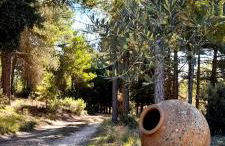 Villa Sanz - Foto 12