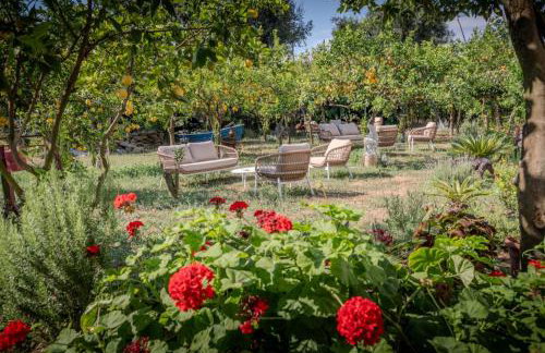 Dimora Filangieri - Photo 31