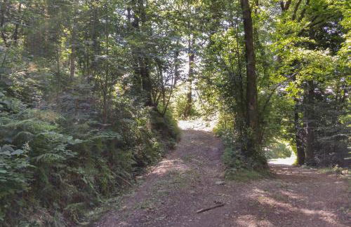 Residenza sul Lago Maggiore - Foto 42