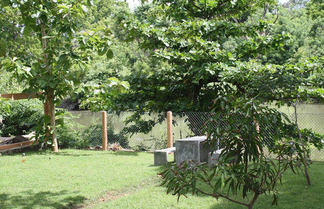 Casa Tangalle - Photo 14