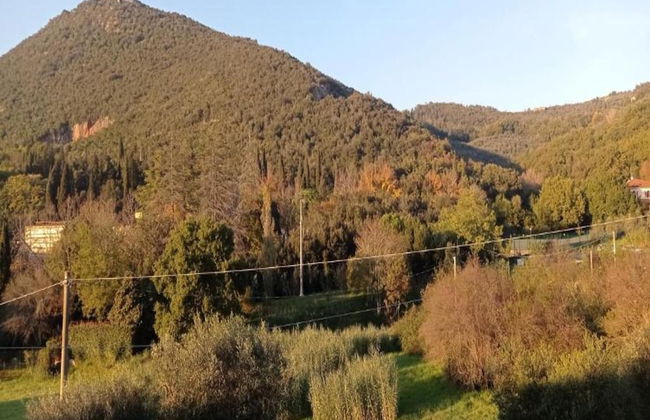 Luxury Retreat Montevettolini - Foto 32