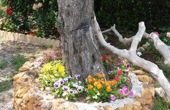 Vergonis Studios - Photo 41