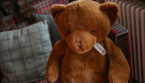 La Tana dell'Orso Bormio - Nature and Welness - Foto 5