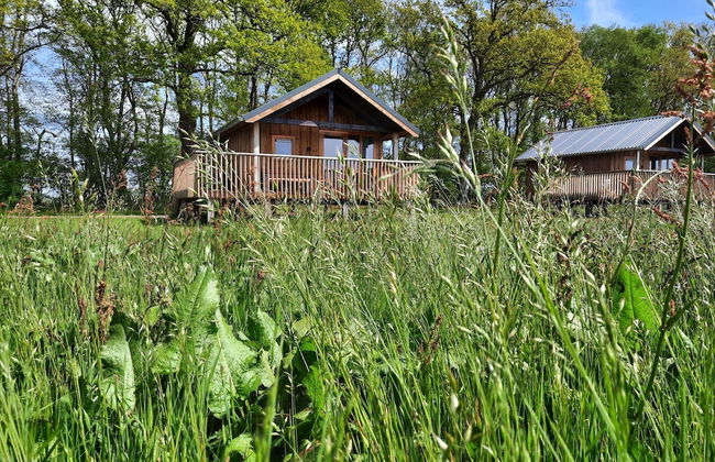 Lodge by Dutch Meadows With Scenic Veranda - Photo 14