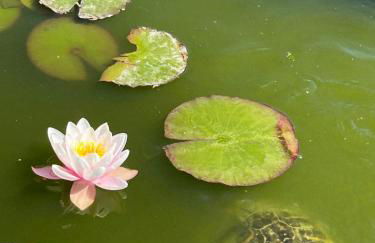 Masseria Causio - Foto 13