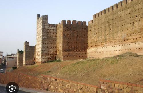 Estudios Murallas Merinies - Foto 16