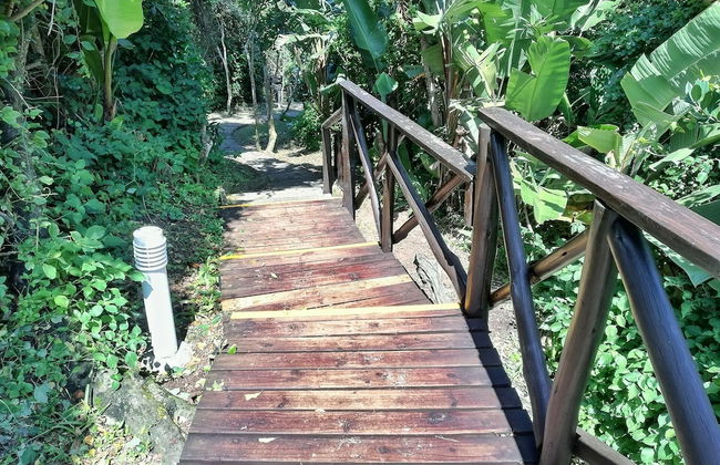 Caribbean Estate Deluxe - Photo 44