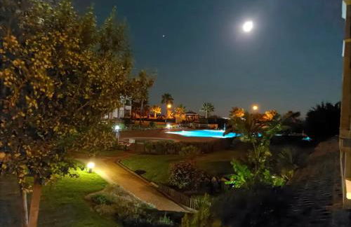 Canela Garden - Foto 13