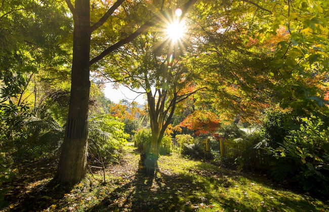 Spetts Cottage - Foto 34