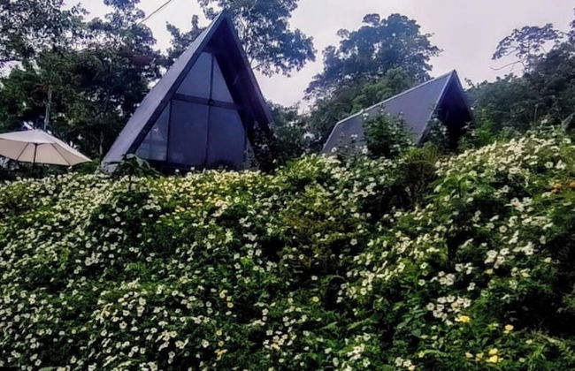 Yarumo Lodge Río Celeste Black Chalets - Photo 28