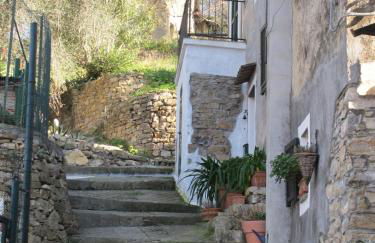 Ligurisches Rustico, umgeben von Olivenhainen am Dorfrand - Foto 7