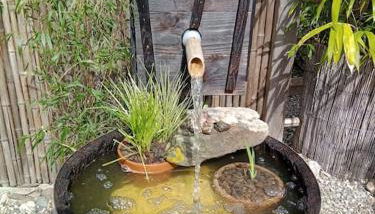 La Cabane des Colibris - Photo 5