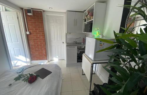 1 Bedroom studio - Photo 6