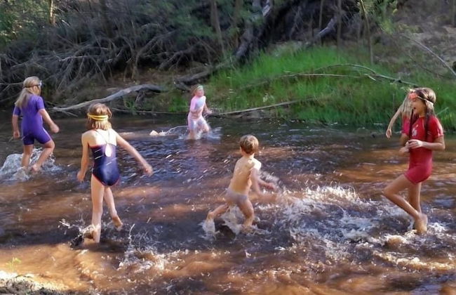 Swaynekloof Farm - Photo 41