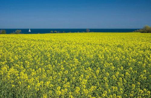 Familienfreundliches Ferienhaus Nahe Niobe Strand - Foto 26