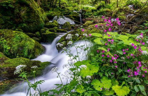 Apartment 16 - Ferienresidenz Roseneck, Galeriewohnung, mit Schwimmbad in Todtnauberg bei Feldberg - Foto 26