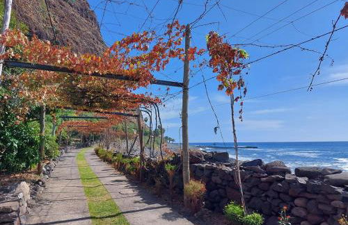 Fajã dos Padres - Foto 61