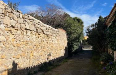 la maison des lauriers rouges - Foto 40
