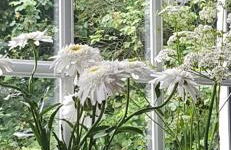 Ferienwohnung Greetje - Foto 3