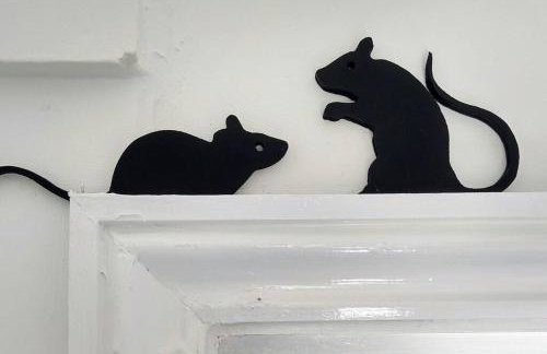 TAIL END: Bijoux Broads & Beach Base! Now with TV! - Photo 6