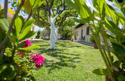 Studios Kydonia - Foto 30