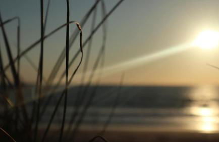 Tiny House Boho Océan - Photo 35