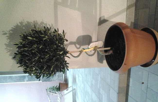 Mastic Point Studios - Photo 14