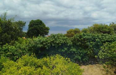 Bragada Stonehouse - Photo 58